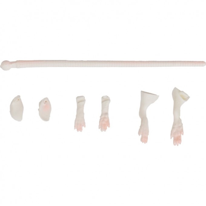 Набор для ремонта приманки крысы SAVAGE GEAR LB 3D Rad Maintenance 20 03-White 55183 Набор для ремонта приманки крысы SAVAGE GEAR LB 3D Rad Maintenance 20 03-White 55183
