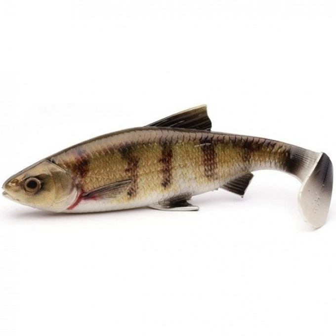 Приманка SAVAGE GEAR 3D LB River Roach 22cm 125g 10pcs zander 63715 Приманка SAVAGE GEAR 3D LB River Roach 22cm 125g 10pcs zander 63715